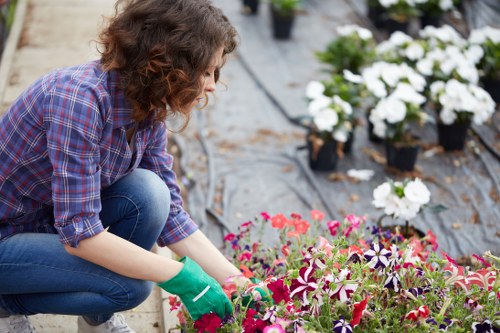Gardener at work in a Brimsdown garden
