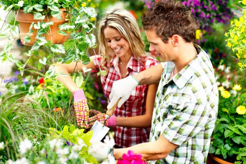 Local gardener planning work in a Brimsdown courtyard