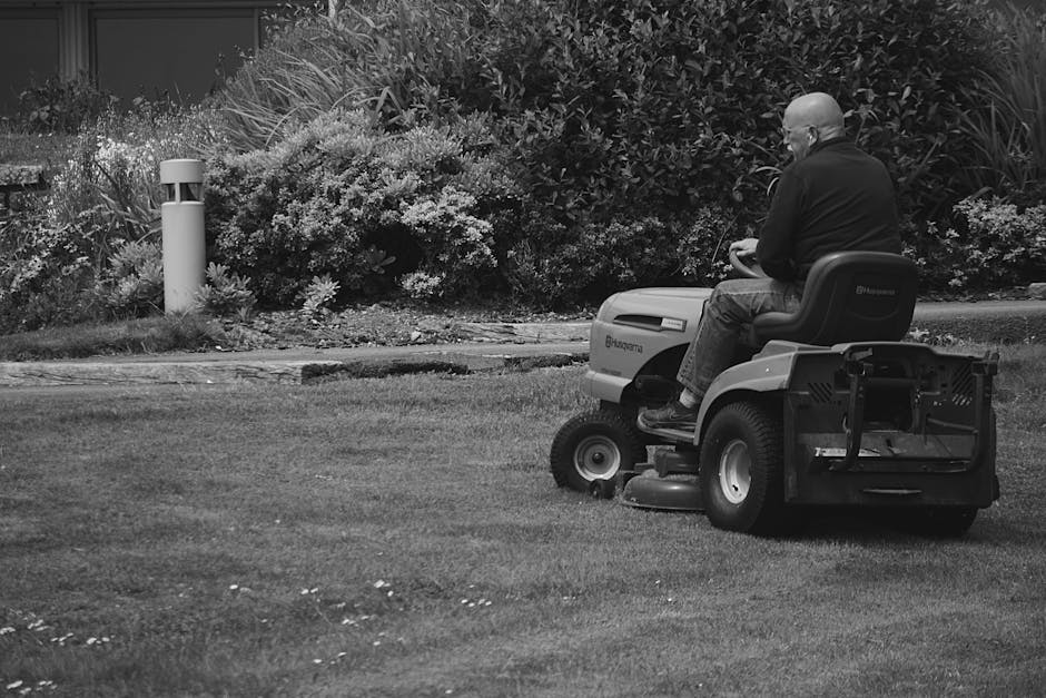 A man operating a ride-on lawn mower is cutting the grass in a well-maintained garden. The lawn exhibits areas of freshly trimmed, even grass with some patches of uneven growth. Surrounding the mower
