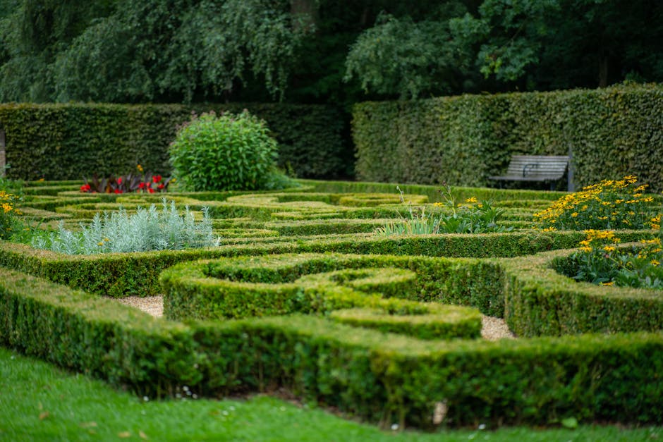 A man operating a ride-on lawn mower is cutting the grass in a well-maintained garden. The lawn exhibits areas of freshly trimmed, even grass with some patches of uneven growth. Surrounding the mower