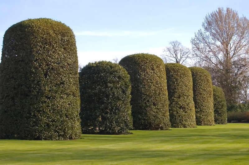 lawn care garden